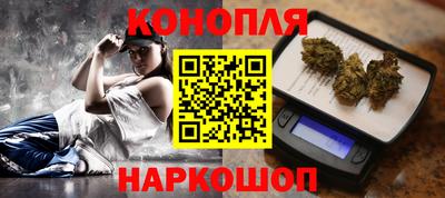 хмурый Шелехов