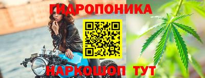 хмурый Шелехов