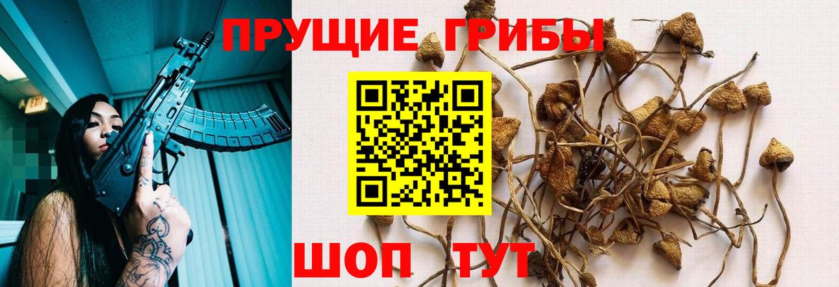 Псилоцибиновые грибы мухоморы  Вход с VPN  Псилоцибиновые грибы прущие грибы  Боровичи 